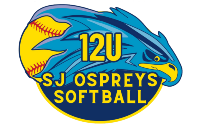 Welcome to Osprey Wings: Soaring Beyond the Diamond